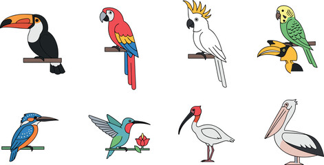 Colorful exotic bird icon collection with toucan parrot cockatoo hummingbird kingfisher and pelican for wildlife design © MDNUR