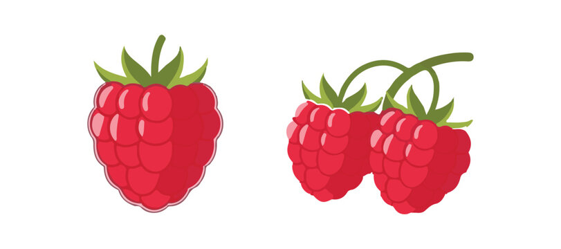 raspberry along with its leaves
