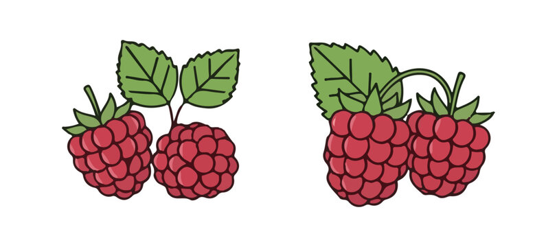 Collection of raspberry icons. A flat set of raspberry vector icons isolated on a white surface.