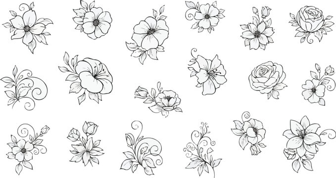 Black and white  flower vector set with roses leaves and seamless floral patterns
