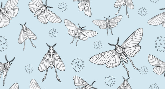 Seamless pattern of hand drawn moth illustrations and clusters of small dots scattered on a soft pastel blue background for wallpaper.