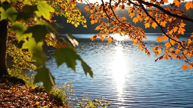 Colorful autumn maple leaves over a sunlit sparkling lake
