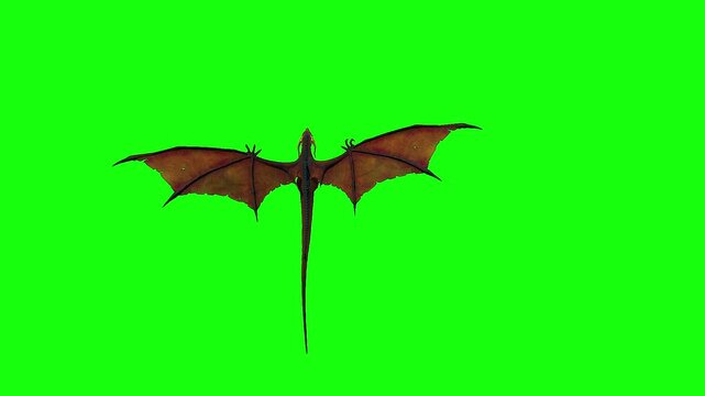 4K Green Screen Dragon Flying in the Sky CGI VFX Perfect for Fantasy, Medieval, Mythical Creatures, Visual Effects, Film, Video Games, Television, and Advertising Use