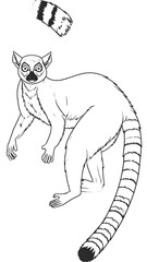 Fototapeta premium A black and white illustration of a lemur standing on its hind legs
