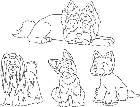 Yorkshire terrier line art set small fluffy dog doodle cute pet outline minimalist black contour hand drawn clipart for grooming salon pet accessories veterinary packaging coloring pages simple sketch