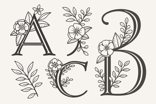 Hand drawn alphabet letters a b c d with floral decoration