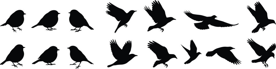 Fototapeta premium Bird Silhouette Collection with Perched and Flying Songbirds Isolated Vector Illustration Set for Nature Design