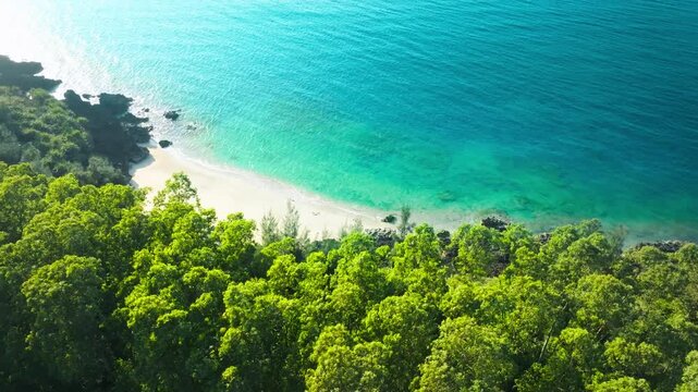 Aerial View of Tropical Beach with Lush Forest