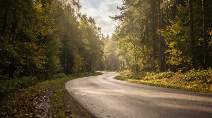 Naklejka premium Winding forest road amidst lush autumn foliage with sunlight filtering through trees