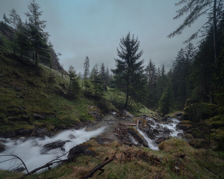 Fast mountain stream rushes over dark rocks through misty conifer forest with lush green foliage in Tyrol.