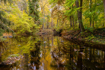 Fototapeta premium Swedish river and natural salmon area in autumn. Farnebofjarden national park in north of Sweden.