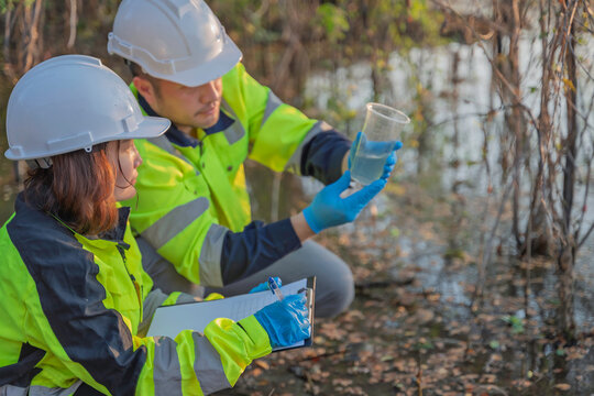 Environmental engineers collect water samples from a swamp for quality testing. Ecological research and field analysis for sustainability and nature conservation projects.