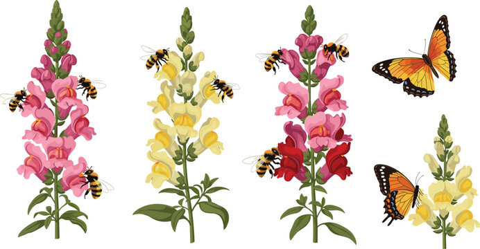 Vintage botanical vector illustration featuring pink and yellow snapdragon flowers with honey bees and monarch butterflies on white.