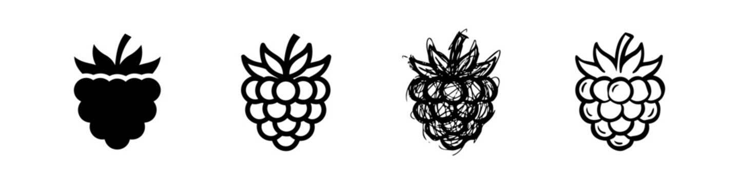 Raspberry Icon Set in Various Styles: Solid Silhouette, Thick Outline, Messy Scribble, and Clean Line Art - Black and White Vector Fruit Illustrations Isolated on White Background