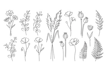 Hand drawn wildflower and botanical herb line art set with poppy fern and eucalyptus on white © Rahmat Chowdhury