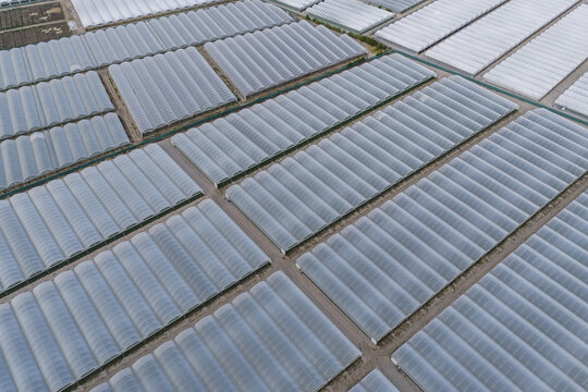 Aerial view of a large industrial greenhouse complex with rows of translucent plastic tunnels and narrow access paths in Paestum, Campania, Italy.