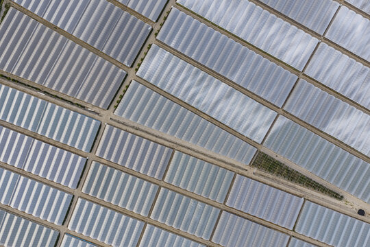 Aerial view of vast agricultural greenhouses with white plastic tunnels arranged in a geometric grid pattern over fertile land in Paestum, Campania, Italy.
