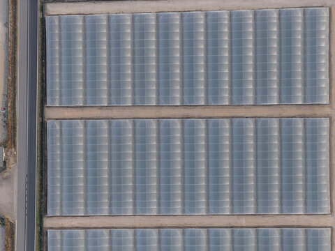 Aerial view of large industrial greenhouses arranged in symmetrical rows next to an asphalt road in Paestum, Campania, Italy.