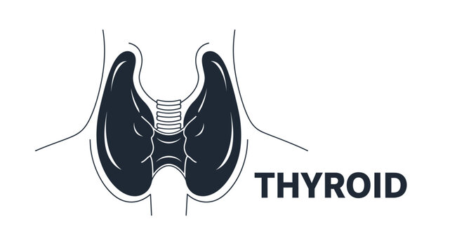Thyroid gland human anatomy icon illustration in minimalist flat line art style