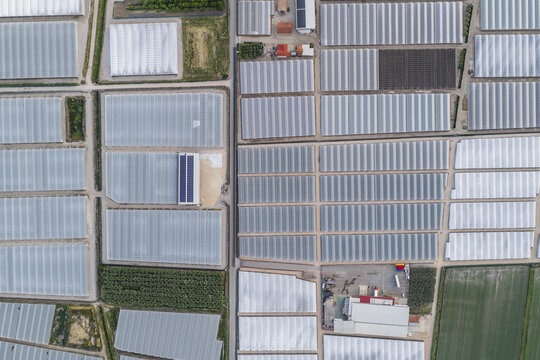 Aerial view of a vast complex of industrial greenhouses and agricultural polytunnels organized in a geometric grid pattern Paestum, Campania, Italy.