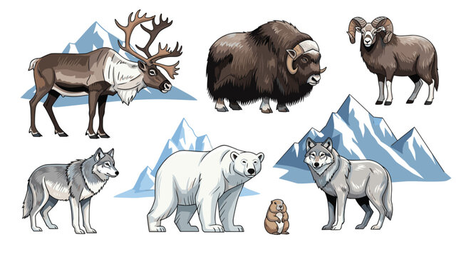 Diverse array of arctic wildlife including a reindeer, musk ox, wolf, polar bear, and marmot set against snowy mountain peaks.