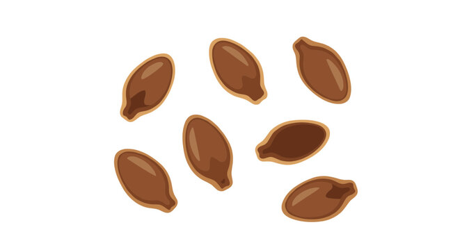 Flax seeds illustration