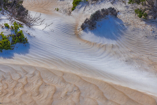 Sand Dunes and Vegetation at Scott Bay, Australia