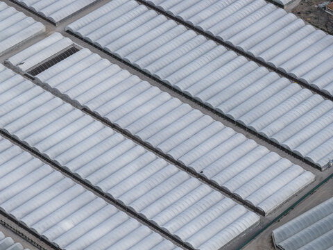 Aerial view of numerous white plastic greenhouses arranged in parallel rows across an agricultural field in Paestum, Campania, Italy.