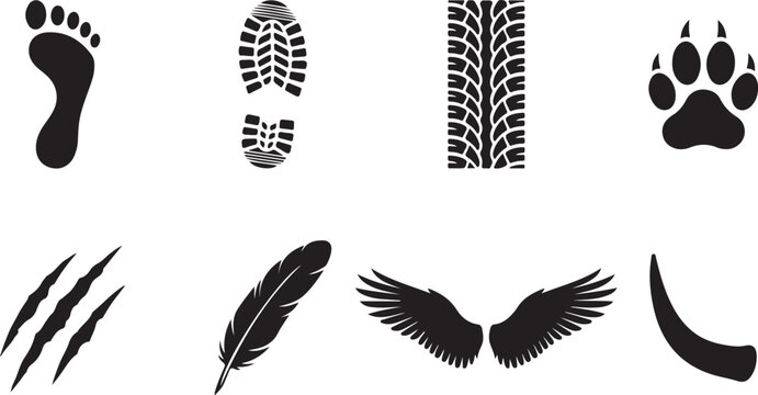 Animal tracks, footprints, and claw marks, wildlife icons, black vector set