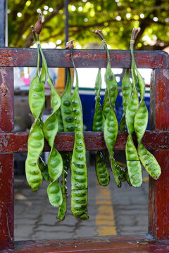 Fresh, raw, petai beans, also commonly known as bitter beans or stink beans. A staple of southeast Asian cuisine, they are famous for a pungent aroma caused by sulfur-containing compounds.
