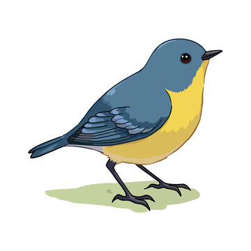Cute Northern Parula Clipart 08