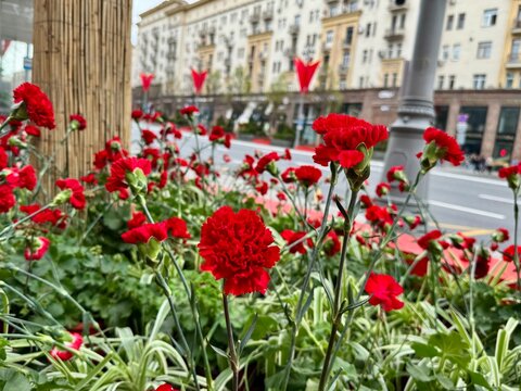 Russia, Moscow, May 9, 2027. The streets of the capital are decorated for Victory Day in the Great Patriotic War on a warm spring day