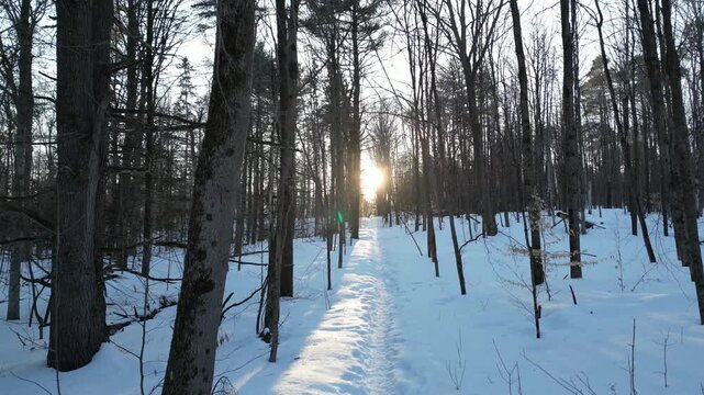 Sunset in the forest along a snow-covered path - Coucher de soleil en for&ecirc;t dans l'axe d'un chemin enneig&eacute;