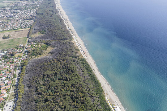Aerial view of the sandy coastline and dense pine forest bordering the turquoise sea and residential area in Paestum, Campania, Italy.