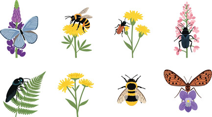 Collection of insects and wildflowers including butterflies bees and beetles in a flat vector illustration style for nature and science concepts © Ali