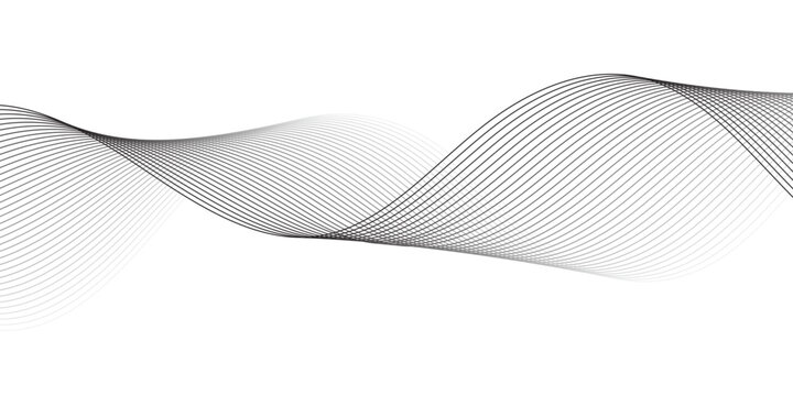 Abstract Monochrome Dynamic Wave Lines with Smooth Sine Curves and Elegant Grey Black Frequencies on Light Gray and White Background for Digital Design.