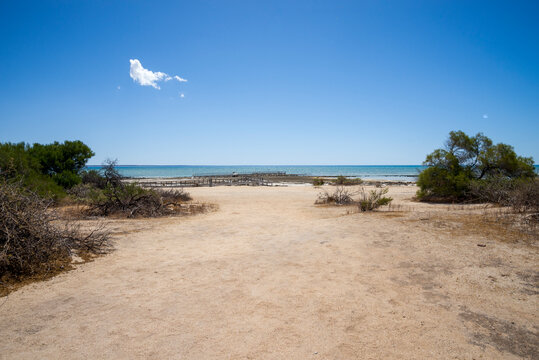 Wooden Boardwalk Leading Across Sandy Beach to Turquoise Indian Ocean in Hamelin Pool Under Clear Blue Sky, Shark Bay, Western Australia, 24 February 2023