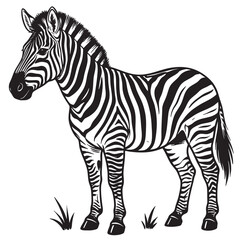 Obraz premium Black and white zebra, standing zebra illustration, monochrome animal design, wildlife vector graphic