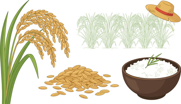 Rice Farming and Harvest Vector Collection with Paddy Plant, Grain, Field, Farmer Hat, and Bowl of Cooked Rice Illustration