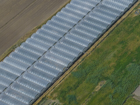 Aerial view of long rows of arched greenhouses and agricultural fields under bright daylight in Paestum, Campania, Italy.
