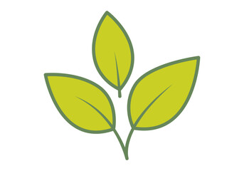 Obraz premium Tres hojas verdes de una planta creciendo de un mismo tallo central