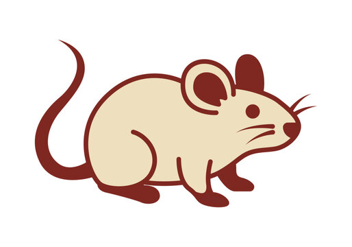 Peque&ntilde;o rat&oacute;n dom&eacute;stico de perfil con grandes orejas 