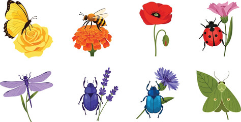 Collection of colorful insects and flowers including a butterfly bee ladybug dragonfly and beetles in a flat vector illustration style perfect for nature and summer themes © Ali