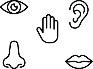 Fototapeta premium Human senses line drawings featuring eye, ear, nose, mouth, and hand icons symbolizing sight, hearing, smell, taste, and touch