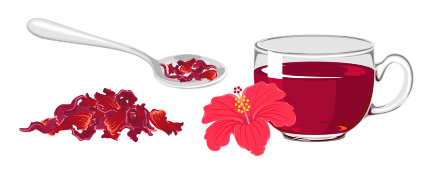 Hibiscus tea set with glass teapot, cup, red flowers and dried petals.  Karkade herbal beverage. Vector cartoon flat illustration.