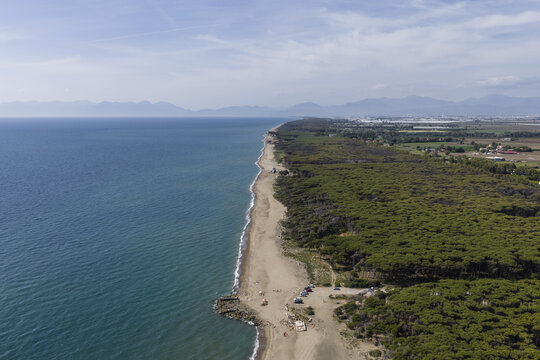 Aerial view of the long sandy coastline and dense pine forest bordering the blue sea under a clear sky Paestum, Campania, Italy.