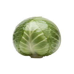 Obraz premium Fresh whole green cabbage head isolated on a transparent background