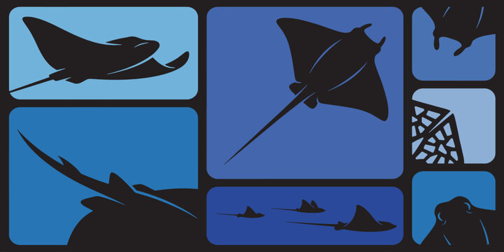 Stylized silhouettes of manta rays and other marine life in a blue and black underwater scene.