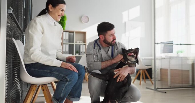 Dog and veterinarian with owner during clinic examination. Male vet checks mixed breed with animal handling, reassuring the woman and pet. Bright office signals pet checkup care during visit.