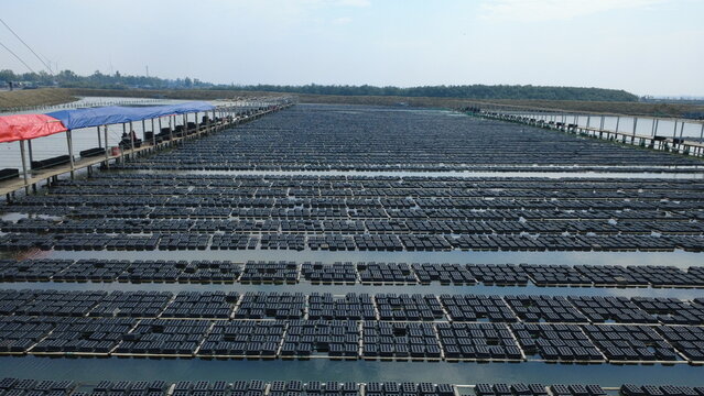 This aerial view captures a large-scale crab cultivation farm in Cox&rsquo;s Bazar, Bangladesh. Thousands of floating crab cages are neatly arranged across the calm water bodies